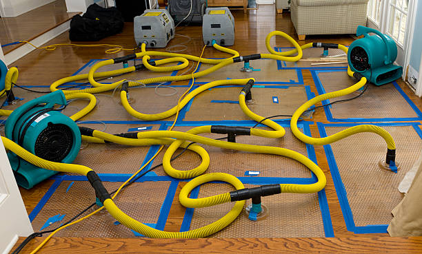 Professional Water Damage Restoration technician working in Milpitas, CA